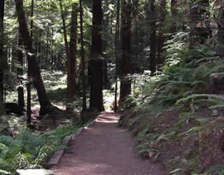 pacific trails yurt