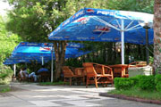 View of the hotel